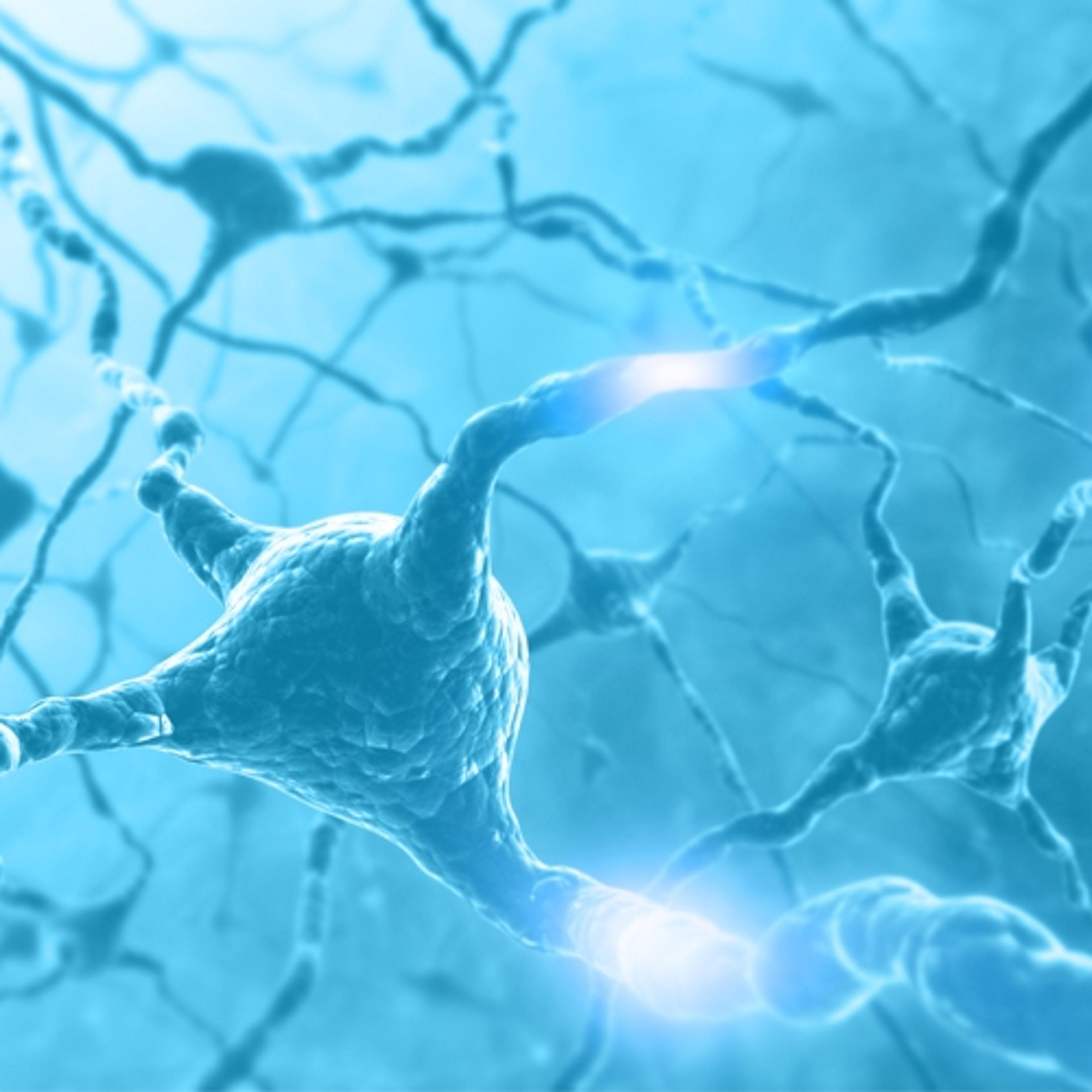 QPS Neuropharmacology Animal Models for Central Nervous System Diseases - QPS - Drug discovery > Pre-Clinical Development