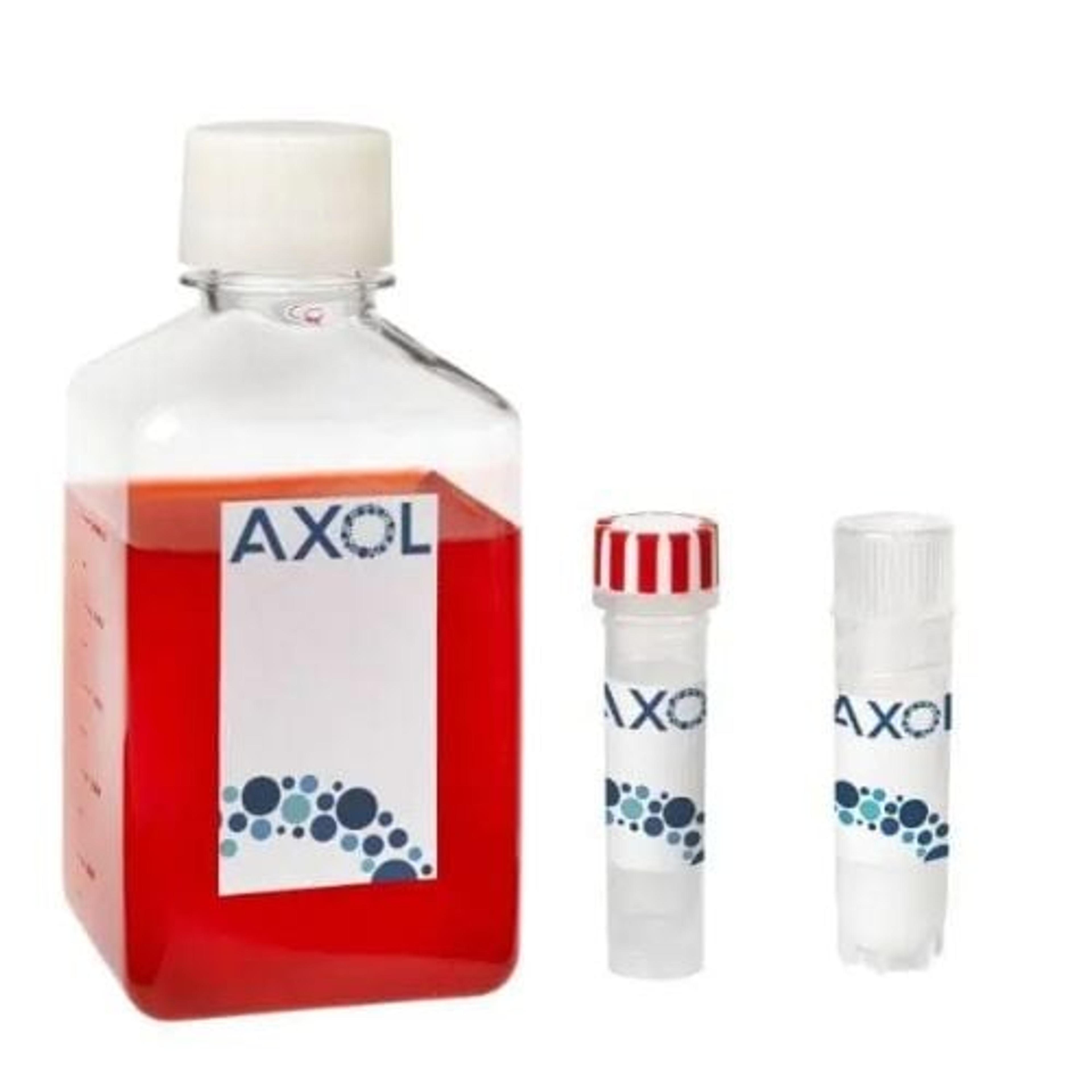 axoCells™ Human iPSC-Derived Atrial Cardiomyocytes, Media, Supplement and Coating kit, male donor, ≥1 million cells - Axol Bioscience - Life Sciences