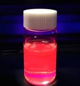 FF beads (Fluorescent beads) - Tamagawa Seiki - Life Sciences