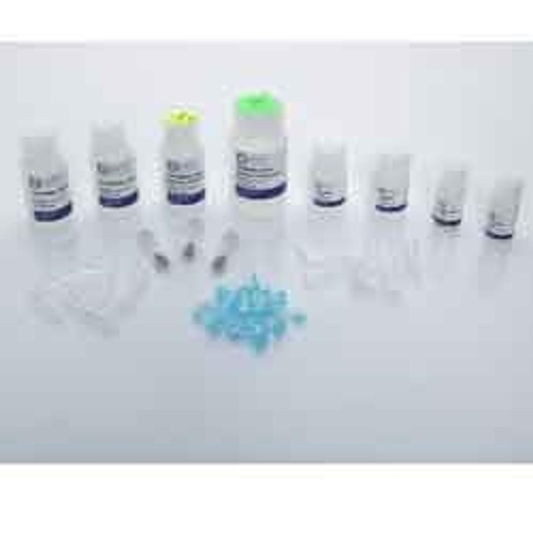 Bead Mill Soil Midi DNA Kit - OMNI International Inc. - Life Sciences