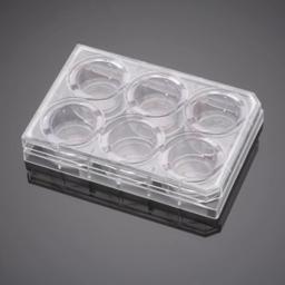 Corning® BioCoat® Control Inserts with 1.0 µm PET Membrane in four 6-well Plates, 6/Pack, 24/Case - Corning Life Sciences - Life Sciences