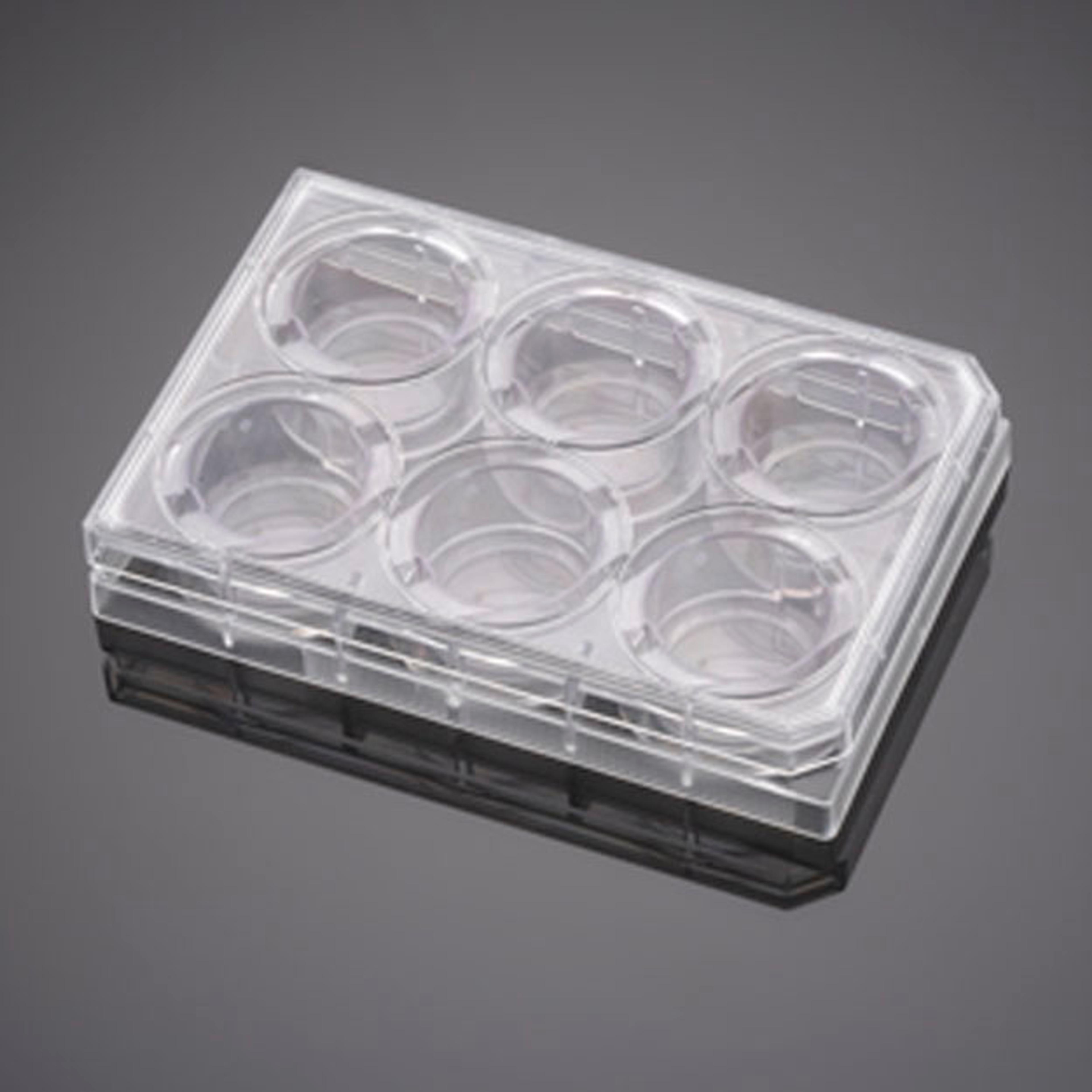 Corning® BioCoat® Control Inserts with 1.0 µm PET Membrane in four 6-well Plates, 6/Pack, 24/Case - Corning Life Sciences - Life Sciences