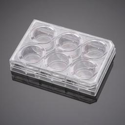 Corning® BioCoat® Control Inserts with 1.0 µm PET Membrane in four 6-well Plates, 6/Pack, 24/Case - Corning Life Sciences - Life Sciences