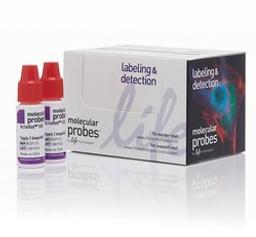 Invitrogen™ ActinRed™ 555 ReadyProbes™ Reagent - Thermo Fisher Scientific - Life Sciences