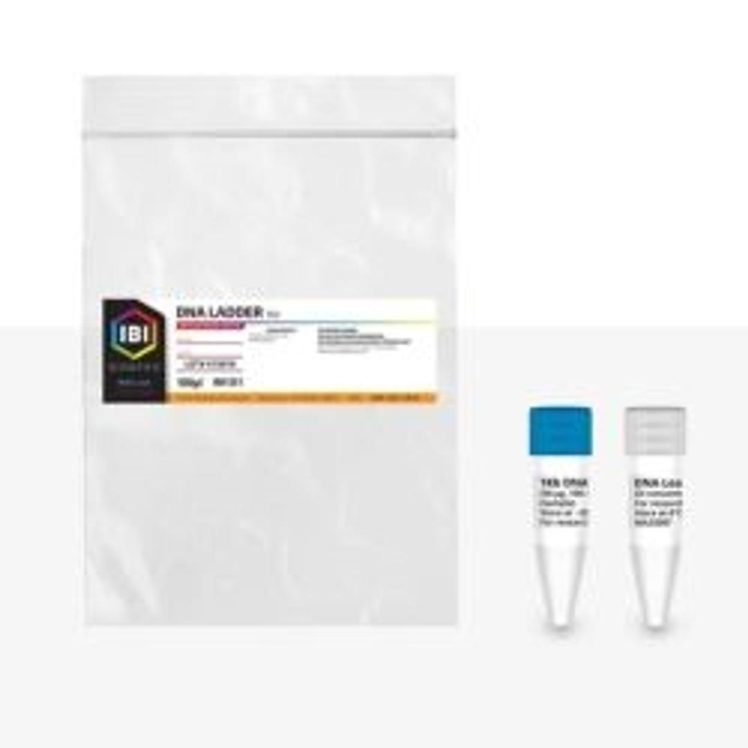 1KB DNA LADDER - IBI Scientific - Life Sciences