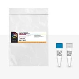 1KB DNA LADDER - IBI Scientific - Life Sciences