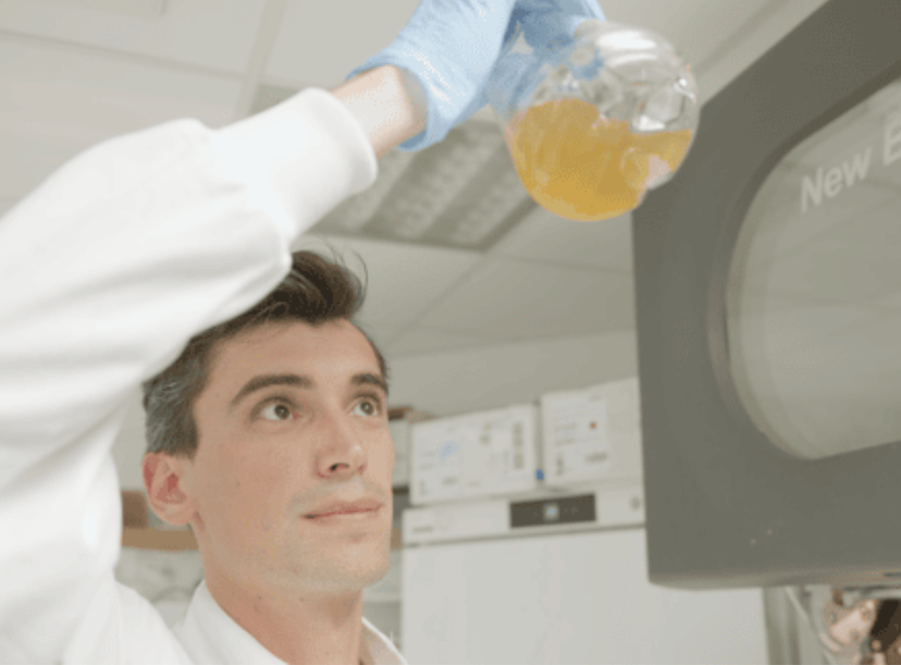 A PhD student checks the growth of a culture of E. coli in the Wallace Lab