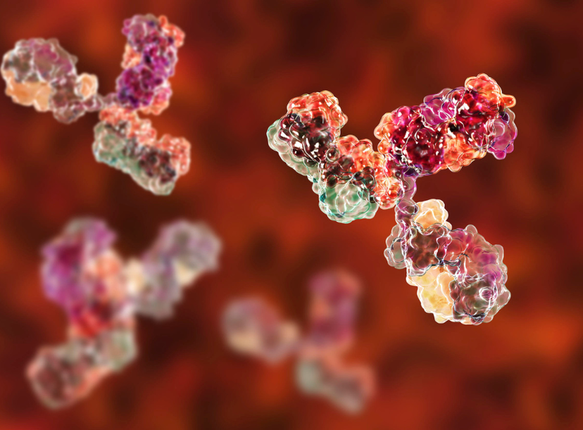 3D image of antibodies