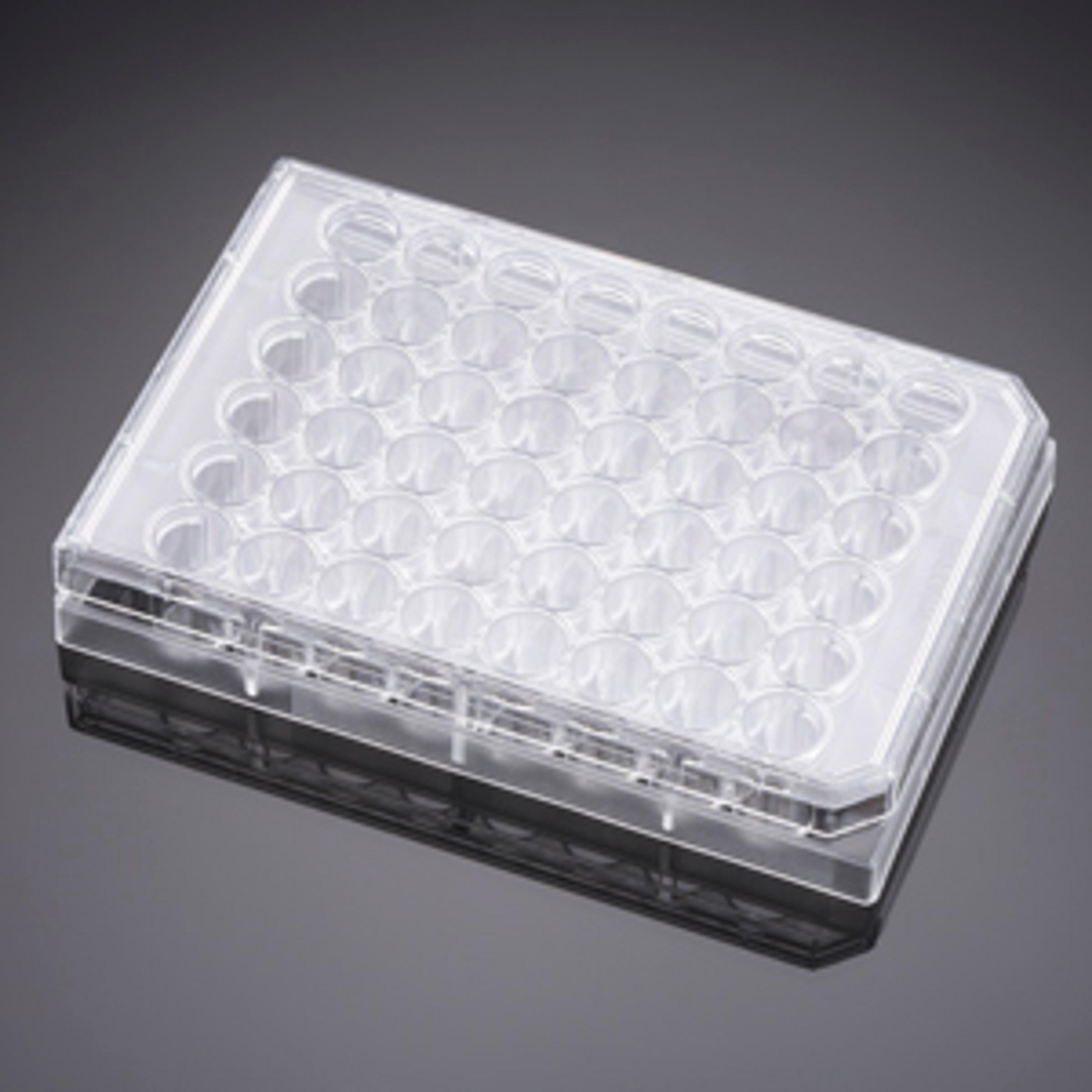 Falcon® 48-well Clear Flat Bottom Not Treated Multiwell Cell Culture Plate, with Lid, Individually Wrapped, Sterile, 50/Case - Corning Life Sciences - Life Sciences