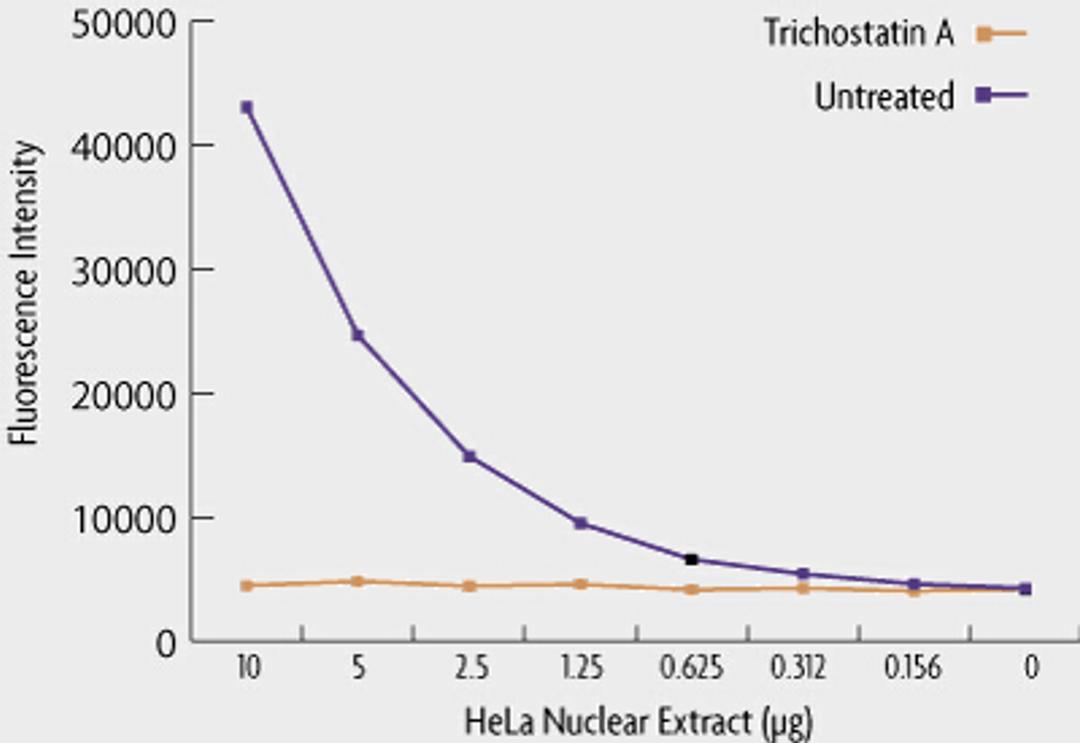 HDAC Assay Kit (Fluorescent) - Active Motif