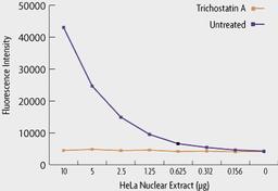 HDAC Assay Kit (Fluorescent) - Active Motif