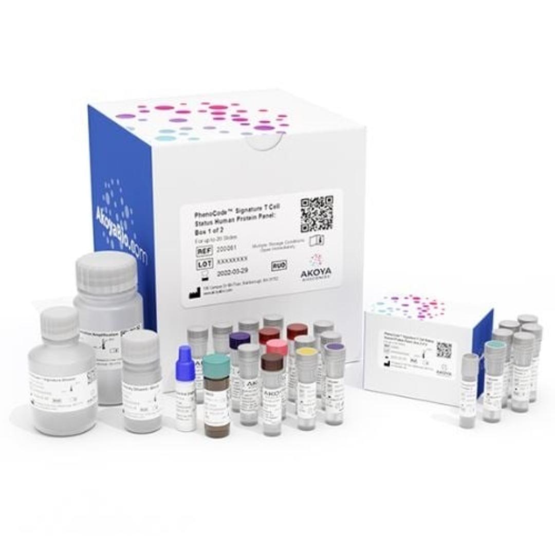 PhenoCode Signature T Cell Status Human Protein Panel - Akoya Biosciences - Clinical Diagnostics