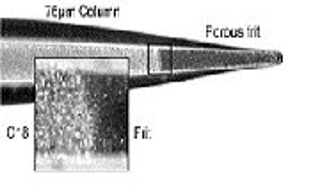 PicoFrit® Nanospray Columns - Thermo Fisher Scientific - Separations