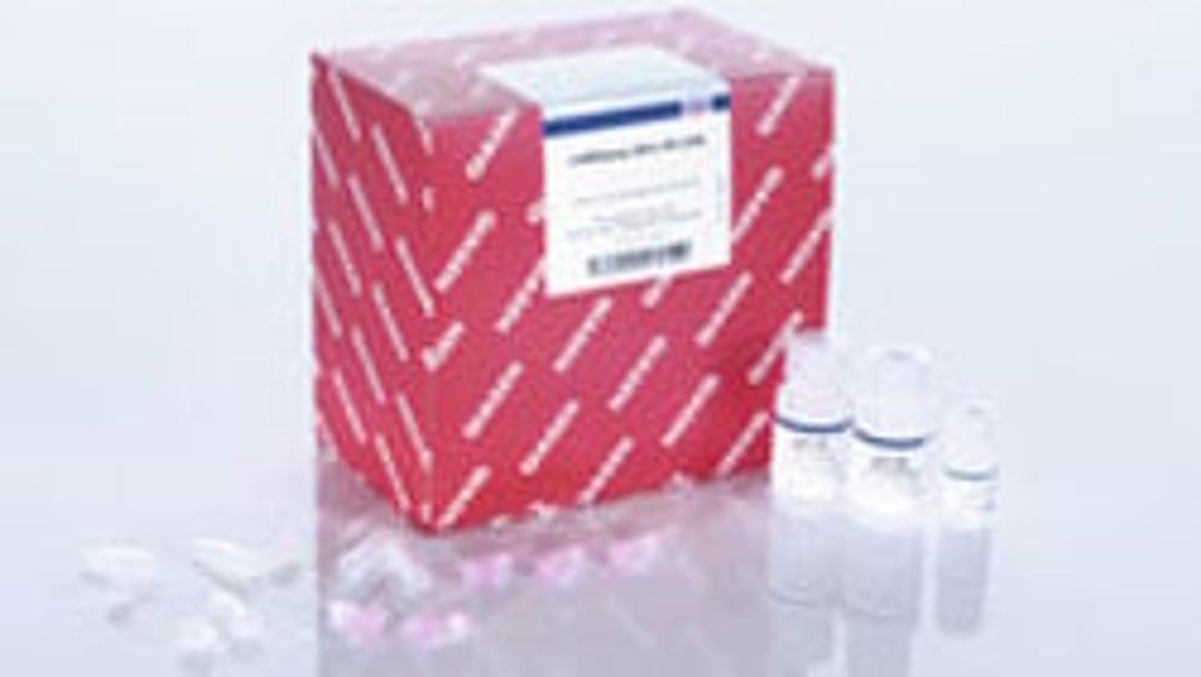 miRNeasy Micro Kit (50) - QIAGEN