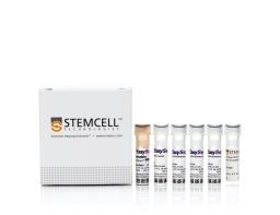 EasySep™ Release Human PE Positive Selection Kit - STEMCELL Technologies Inc. - Life Sciences