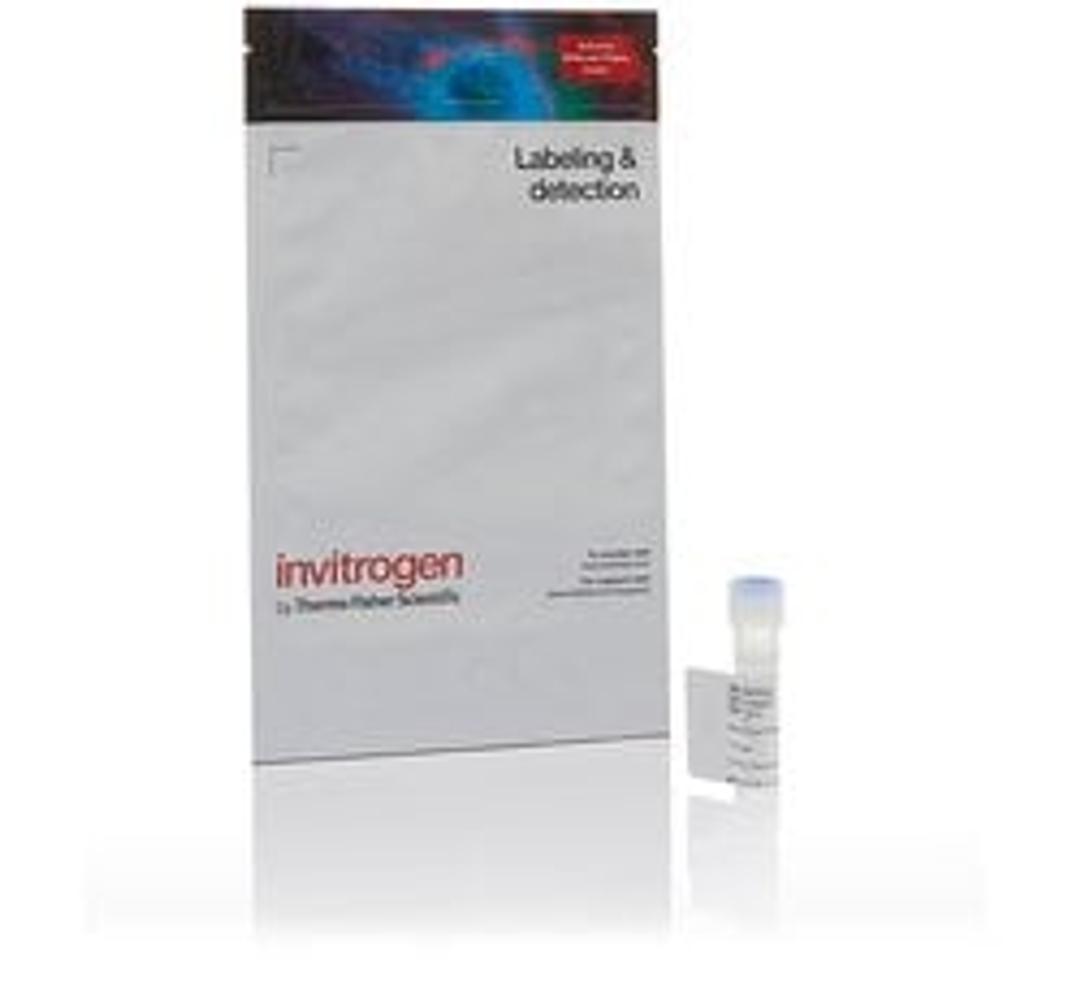 Invitrogen™ Alexa Fluor™ 488 Tyramide Reagent - Thermo Fisher Scientific - Life Sciences