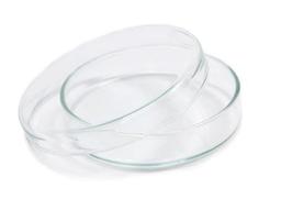 Glass Petri Dishes - BOROSIL - General Lab
