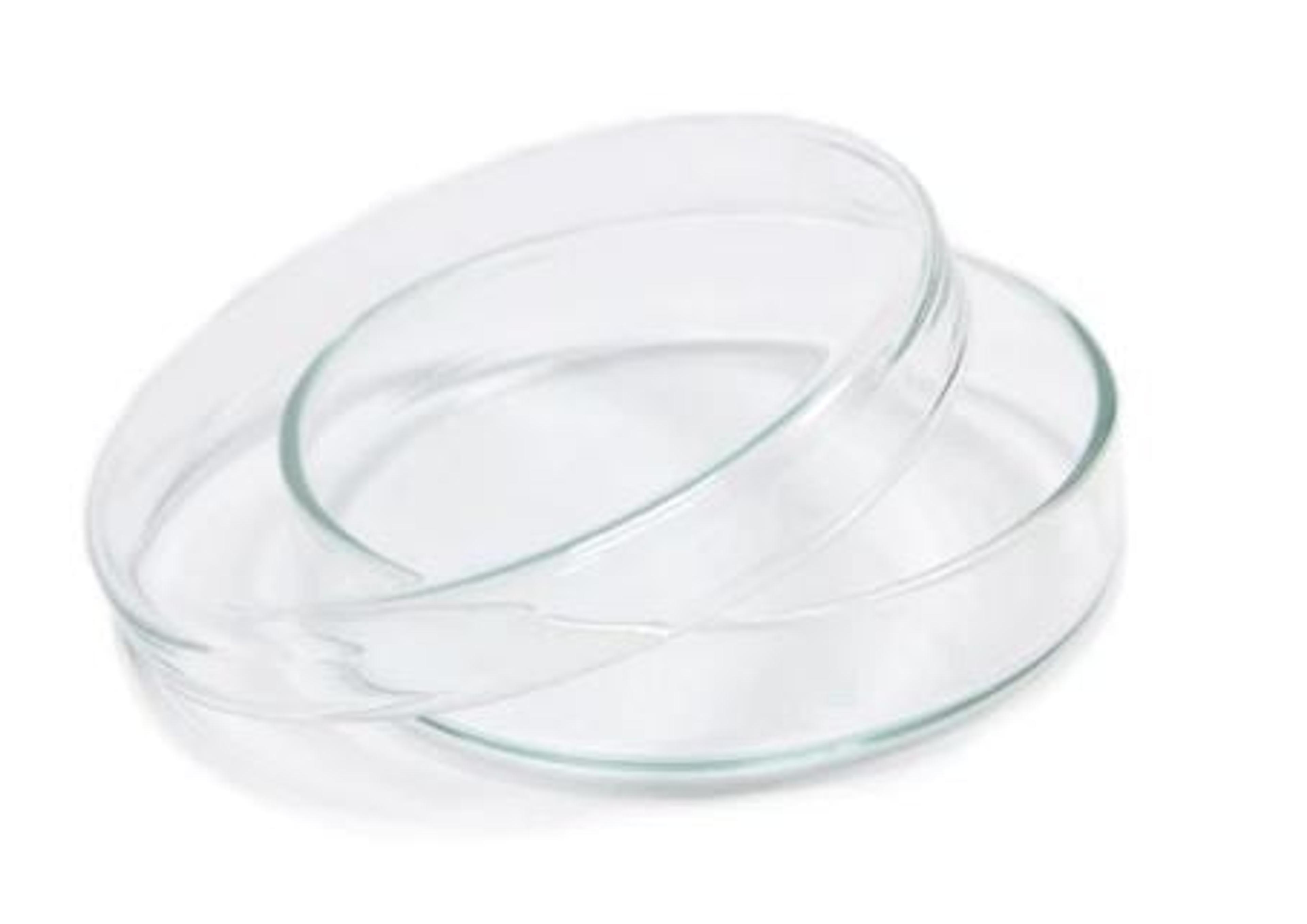 Glass Petri Dishes - BOROSIL - General Lab