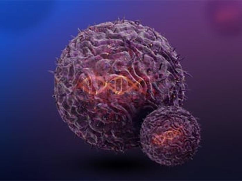 Gene engineering with TcBuster