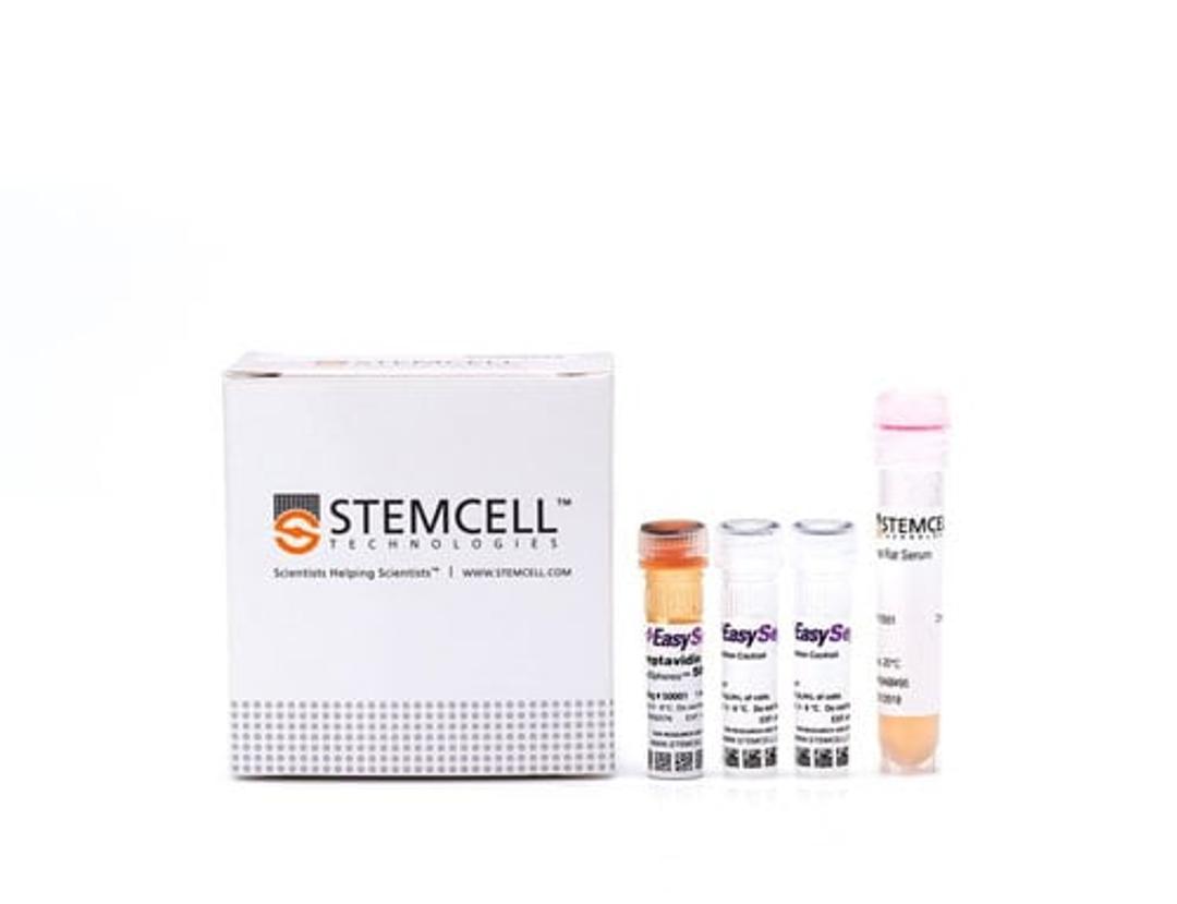 EasySep™ Mouse Pan-Naïve T Cell Isolation Kit - STEMCELL Technologies Inc. - Life Sciences