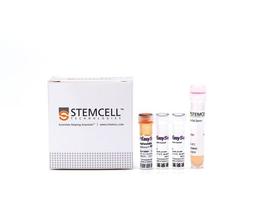 EasySep™ Mouse Pan-Naïve T Cell Isolation Kit - STEMCELL Technologies Inc. - Life Sciences