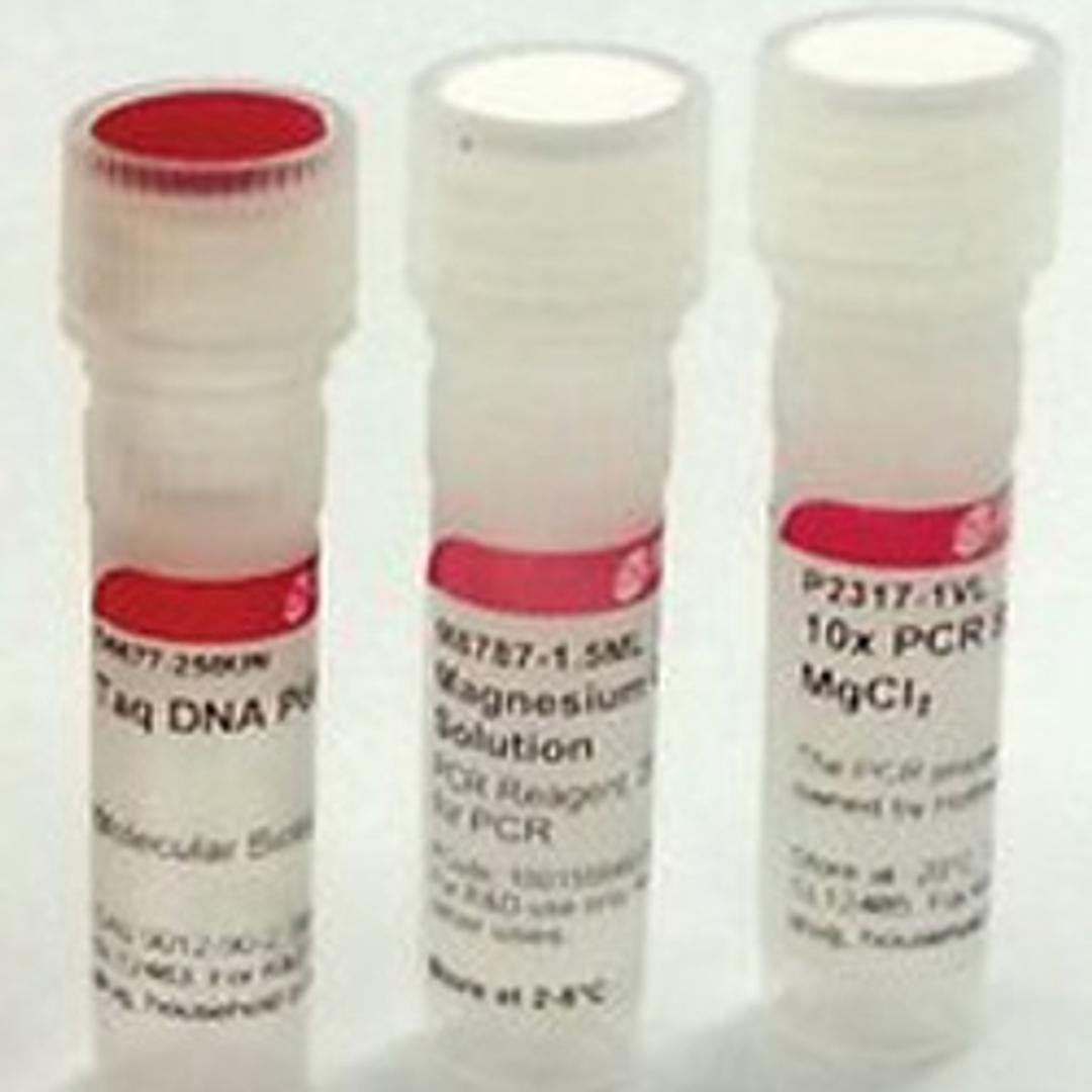Taq DNA Polymerase from Thermus aquaticus - Merck - Life Sciences
