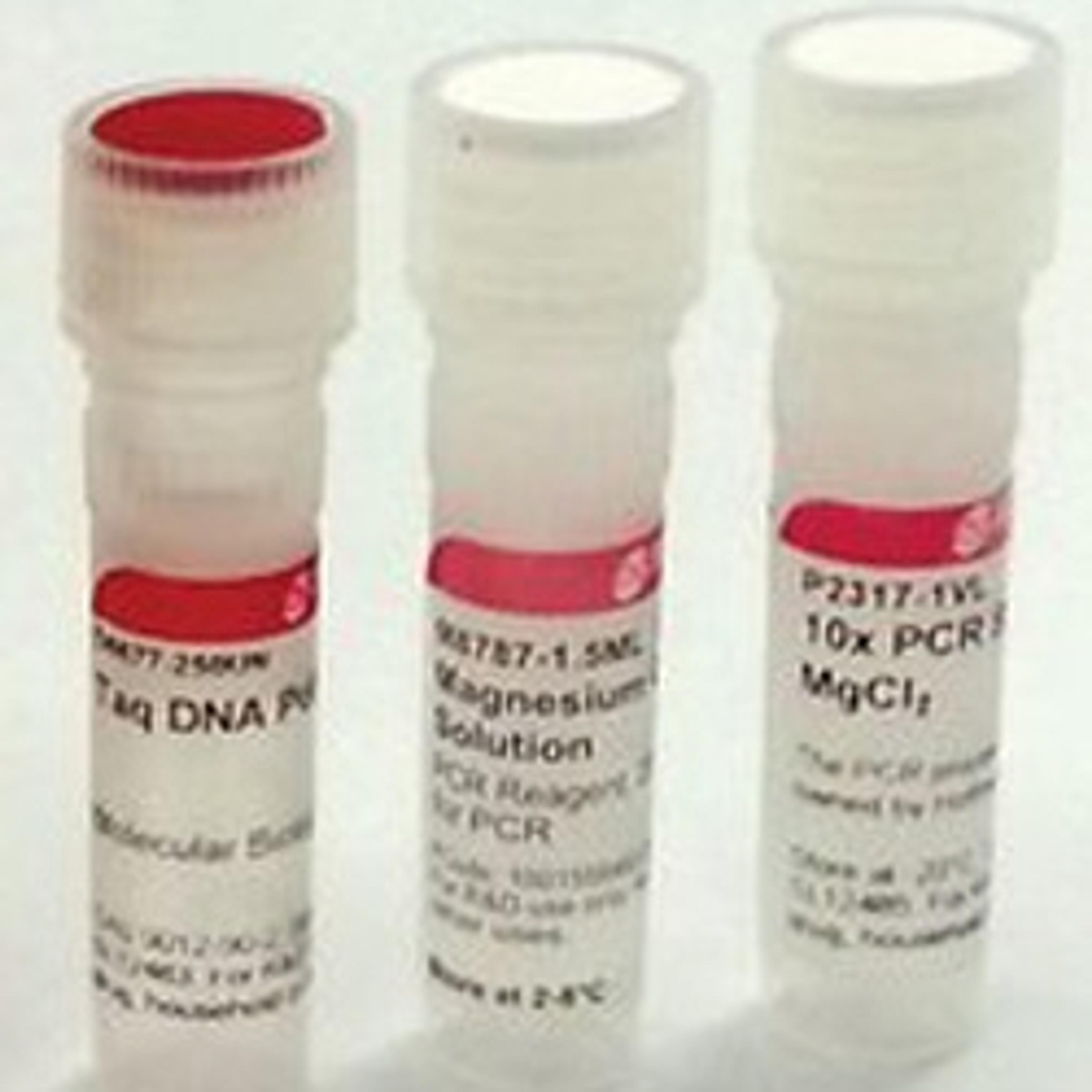 Taq DNA Polymerase from Thermus aquaticus - Merck - Life Sciences