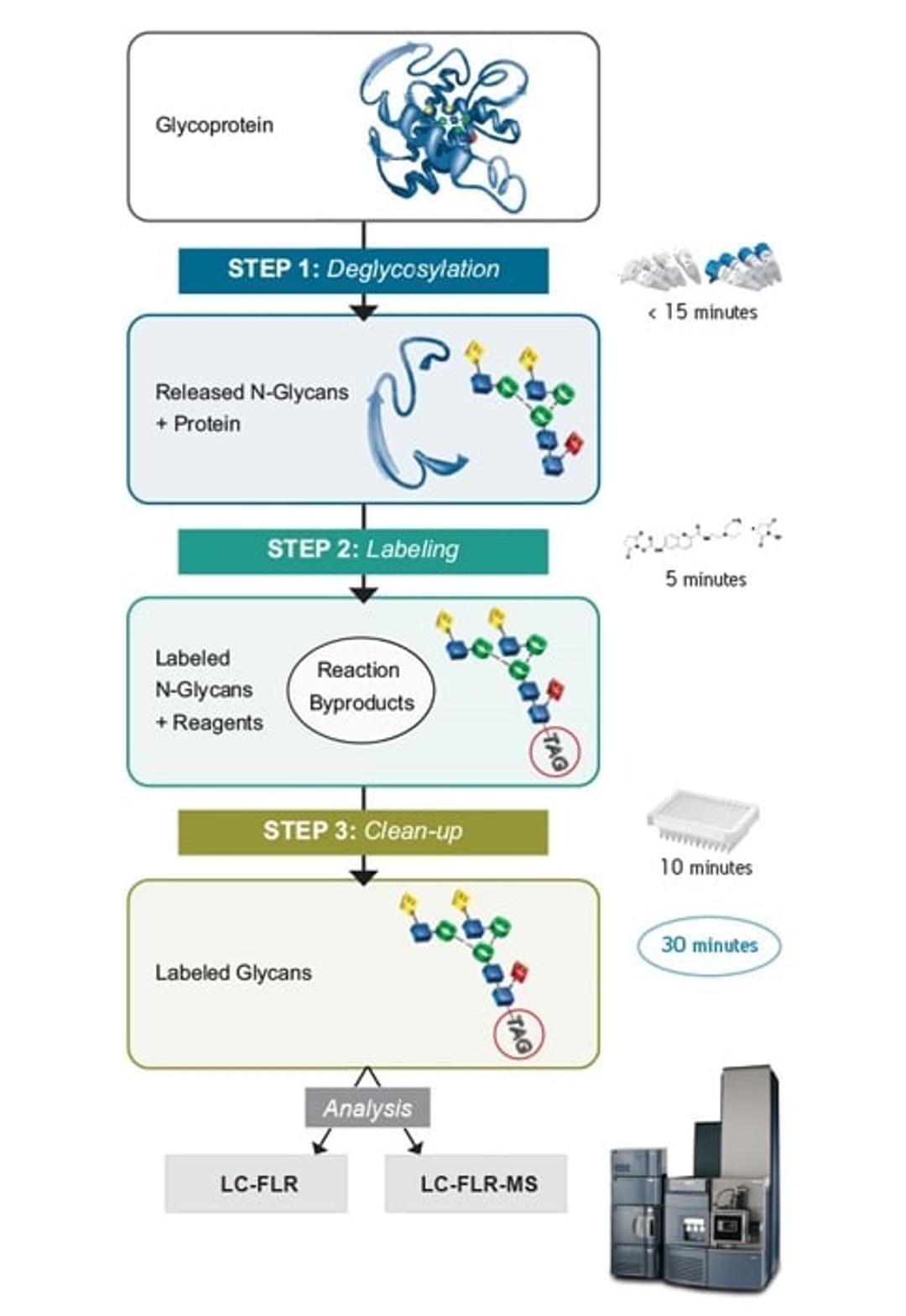 GlycoWorks RapiFluor-MS N-Glycan Kit - Waters - Separations