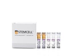 EasySep™ Mouse CD19 Positive Selection Kit II - STEMCELL Technologies Inc. - Life Sciences