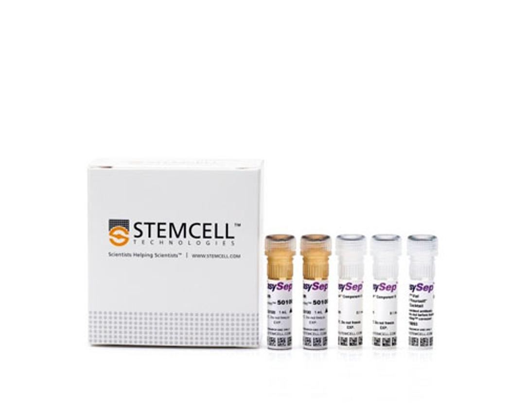 EasySep™ Mouse CD19 Positive Selection Kit II - STEMCELL Technologies Inc. - Life Sciences