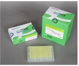 AccuPower® one-step RT-PCR PreMix - Bioneer - Life Sciences