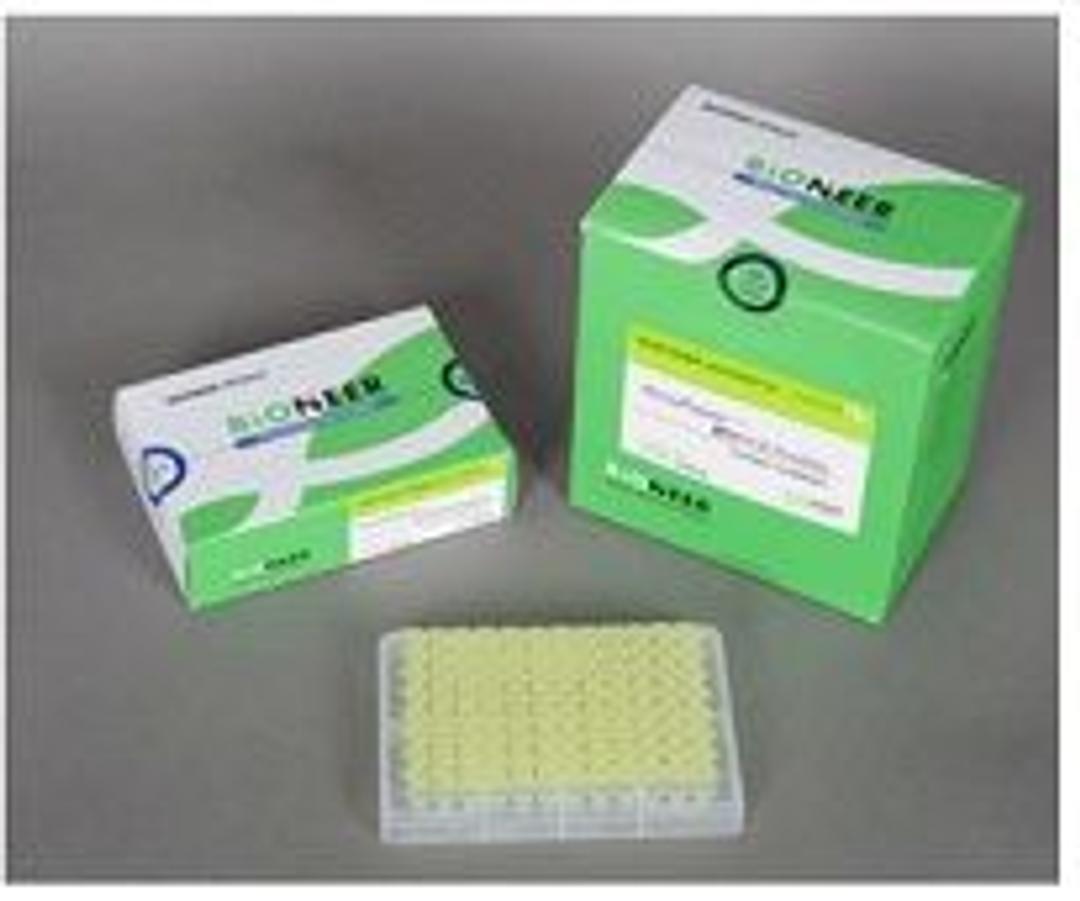 AccuPower® one-step RT-PCR PreMix - Bioneer - Life Sciences