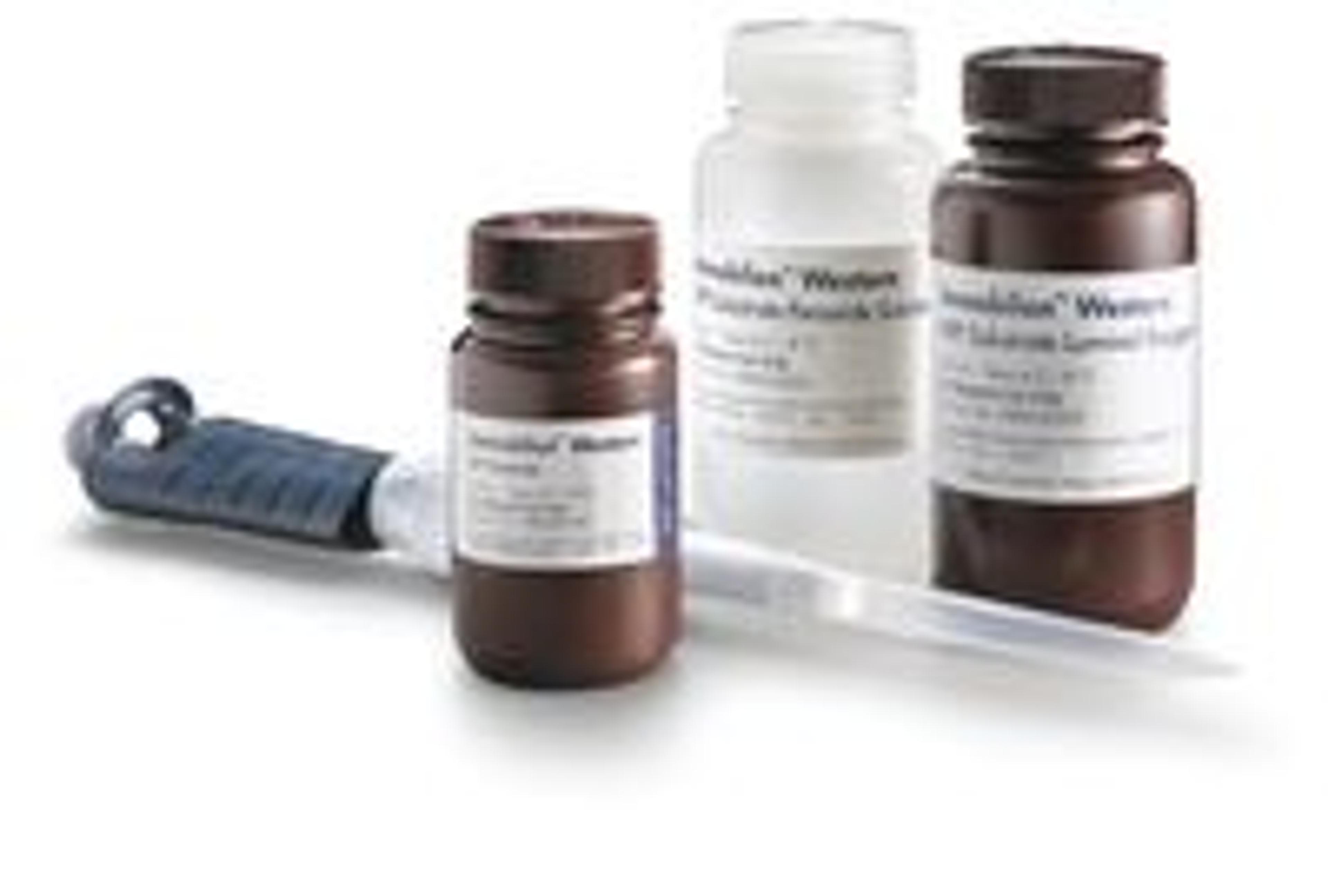 Reagents for Western Blotting - Merck - Life Sciences