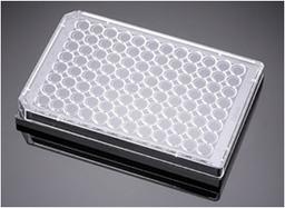 Corning® BioCoat™ Angiogenesis System: Endothelial Cell Tube Formation, 96-well Black Multiwell Microplate, 5/Case - Corning Life Sciences - Life Sciences