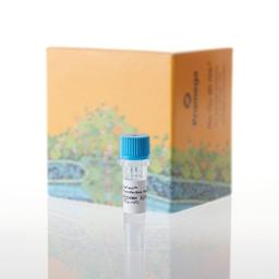 ViaFect™ Transfection Reagent - Promega Corp. - Life Sciences