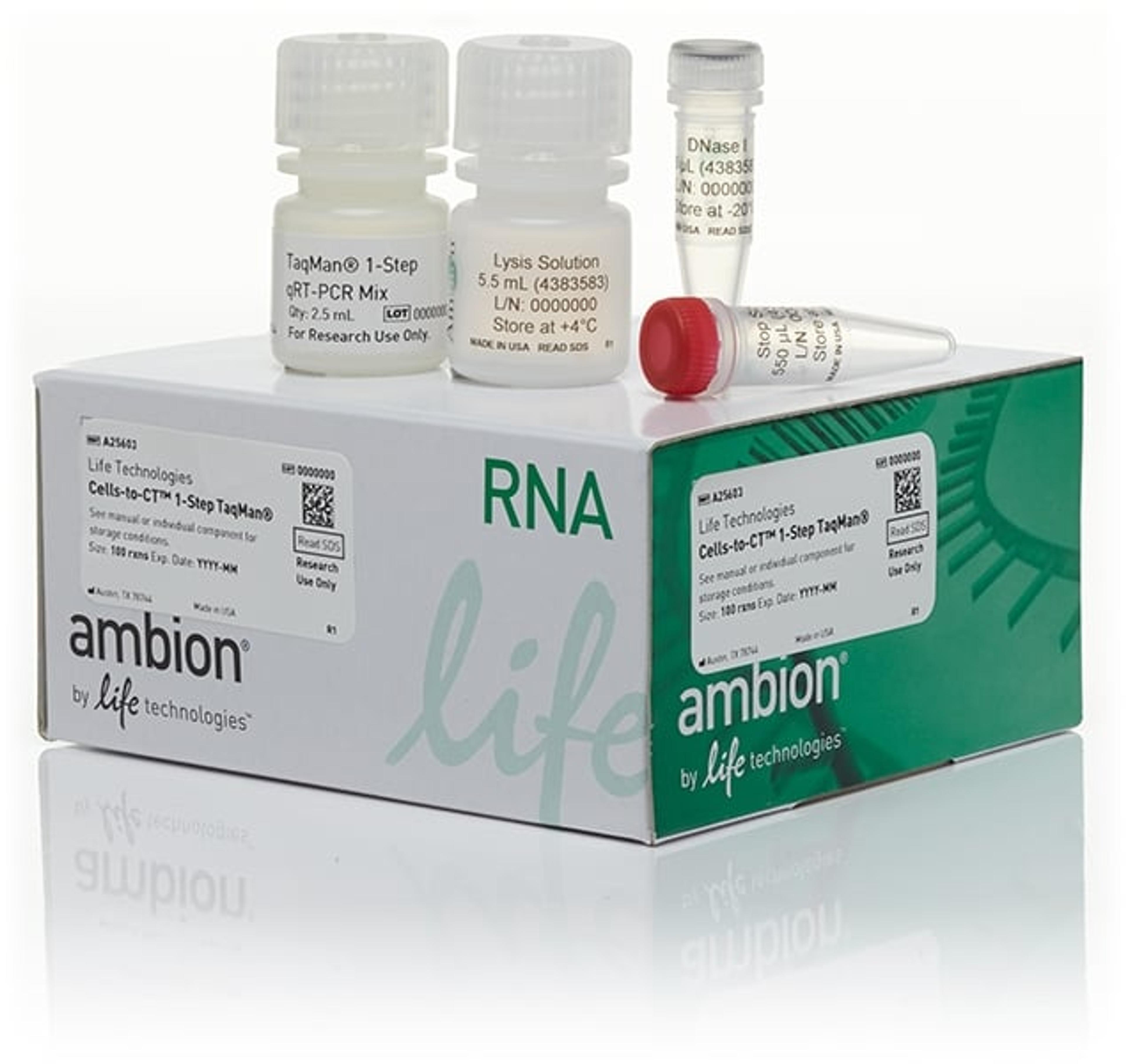 Ambion® Cells-to-CT™ Kits - Thermo Fisher Scientific - Life Sciences