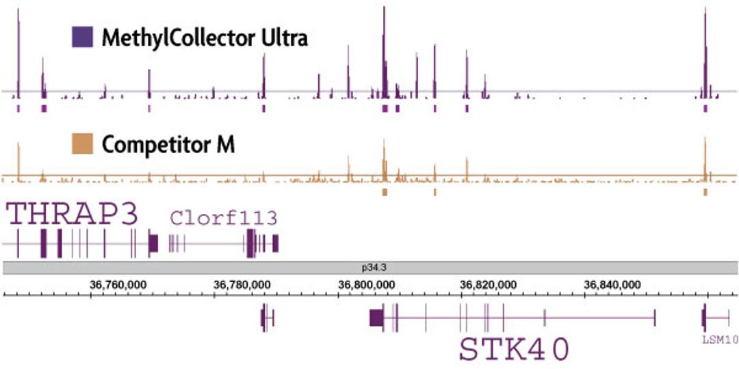 MethylCollector™ Ultra-Seq (MIRA-Seq) Service - Active Motif - Life Sciences