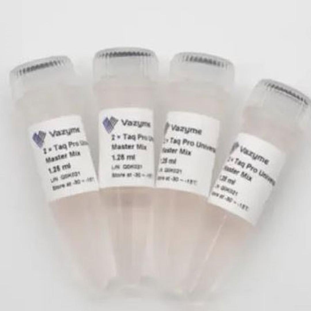 Taq Pro Universal SYBR qPCR Master Mix - Vazyme Biotech Co., Ltd - Life Sciences