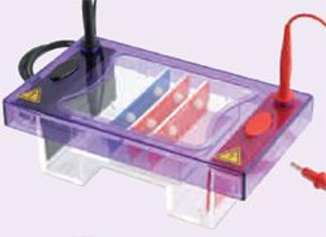 multiSUB Midi Duo - Cleaver Scientific Ltd - Life Sciences