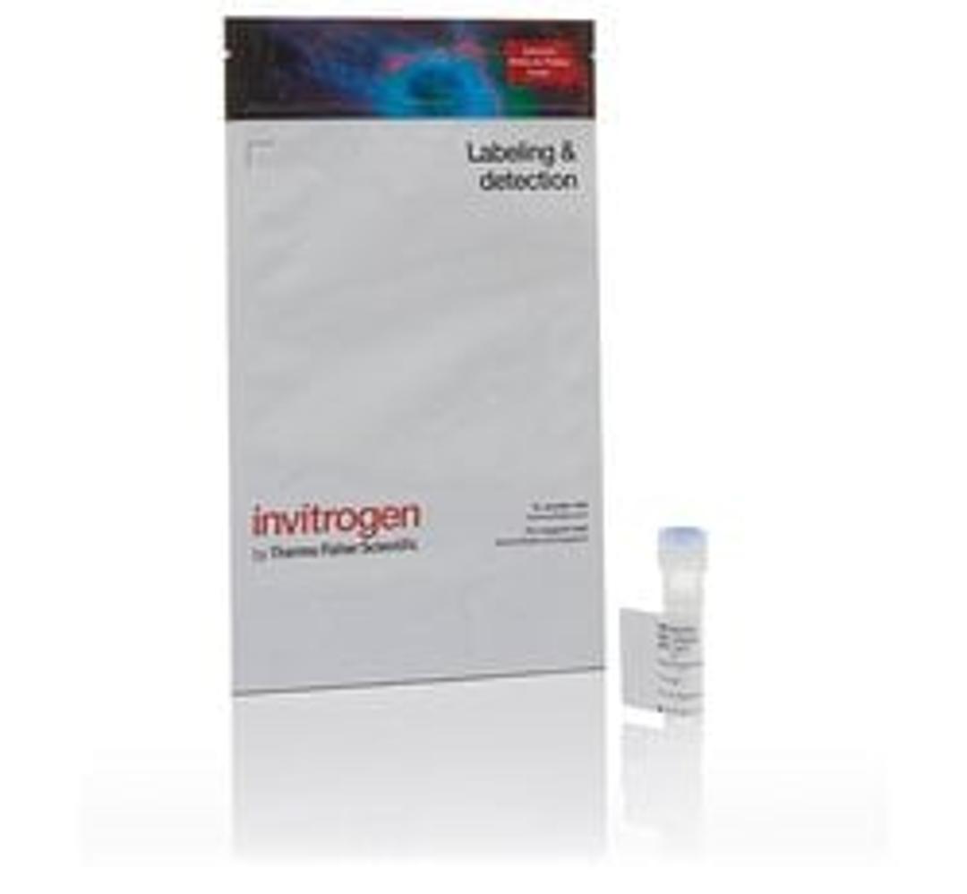 Invitrogen™ Alexa Fluor™ 647 Tyramide Reagent - Thermo Fisher Scientific - Life Sciences