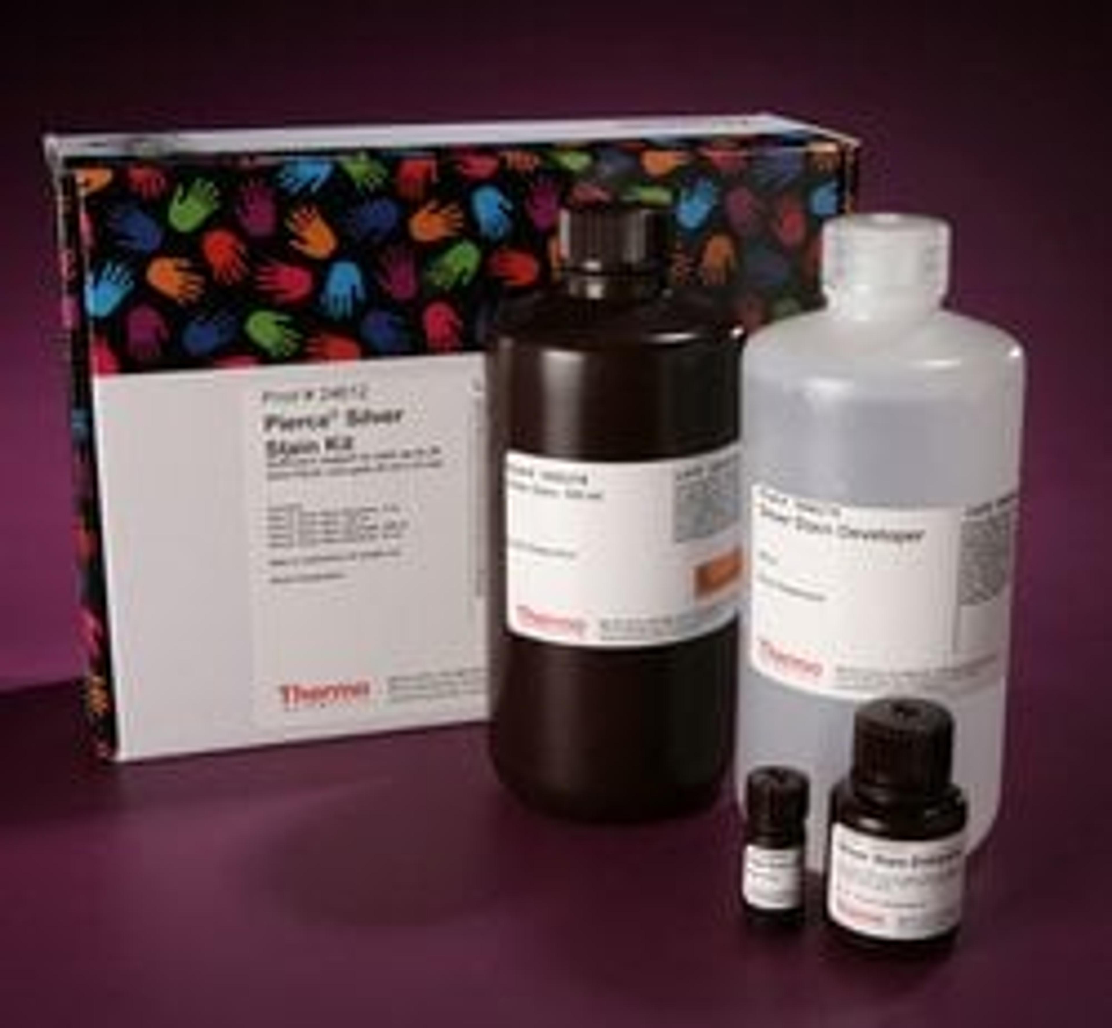 Thermo Scientific™ Pierce™ Silver Stain Kit - Thermo Fisher Scientific - Life Sciences