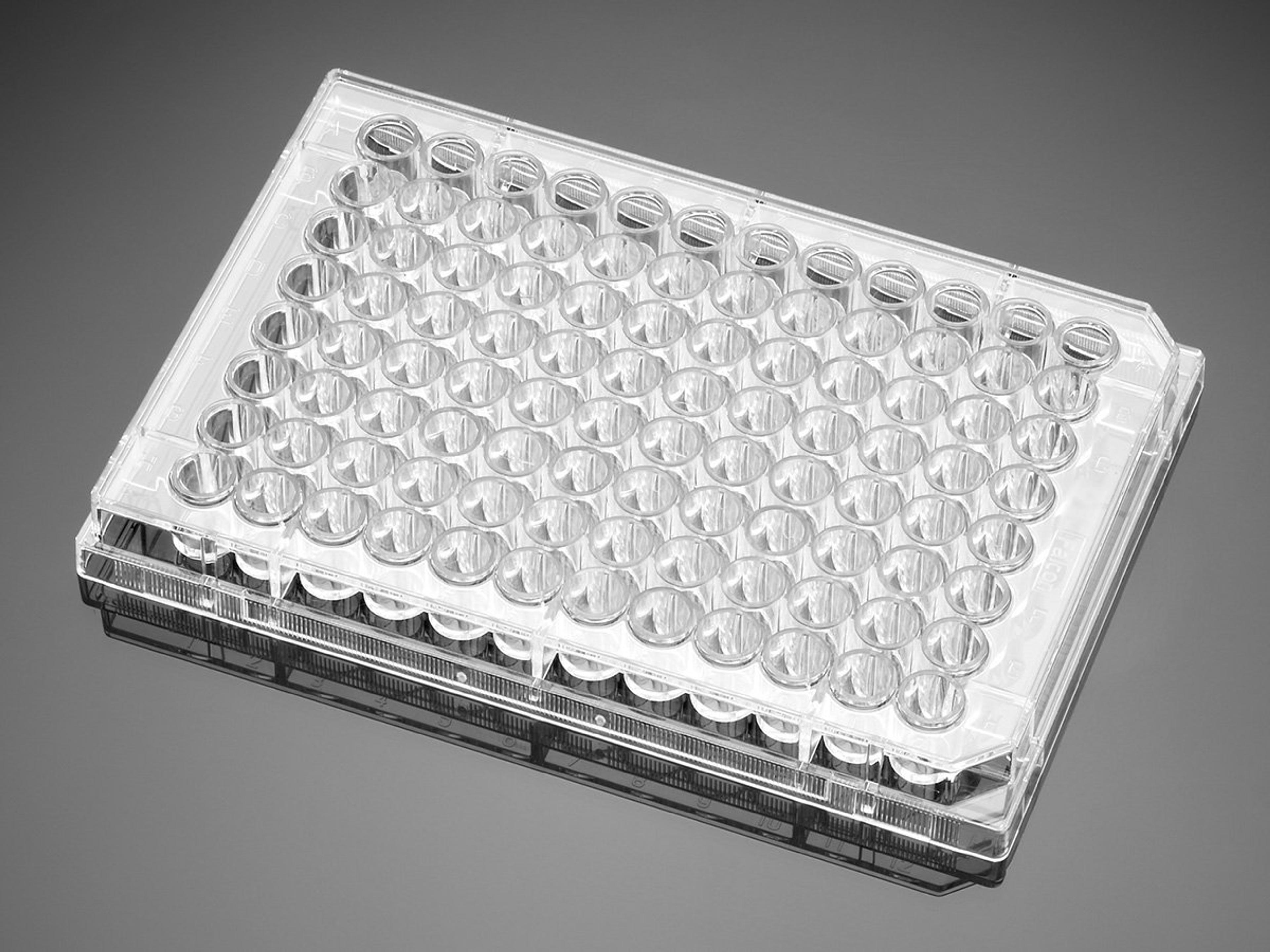 Corning® BioCoat™ Collagen I 96-well Clear Flat Bottom TC-treated Microplate, with Lid, 5/Case - Corning Life Sciences - Life Sciences