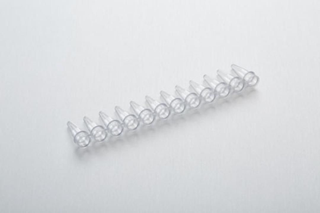 PCR Strip & Tubes - Starlab - Life Sciences