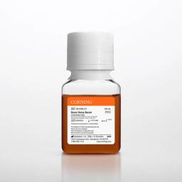 Corning® Donor Horse Serum, 100 mL, United States Origin - Corning Life Sciences - Life Sciences