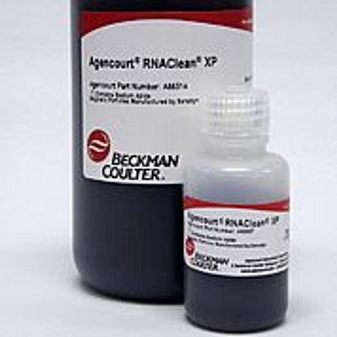 RNAClean XP - Beckman Coulter Life Sciences - Life Sciences