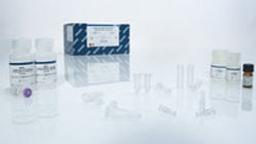 QIAamp DSP DNA Blood Mini Kit - QIAGEN