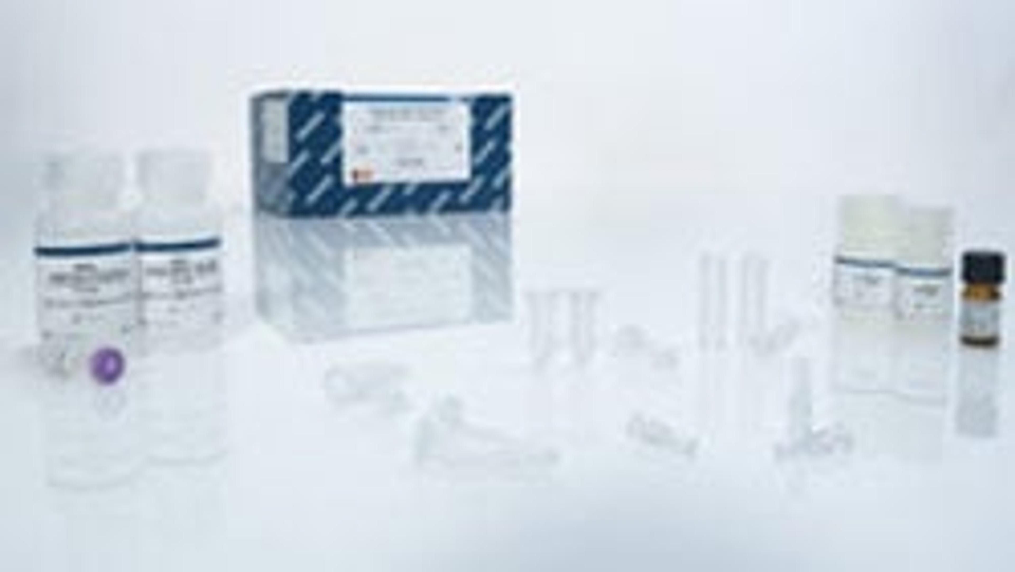 QIAamp DSP DNA Blood Mini Kit - QIAGEN