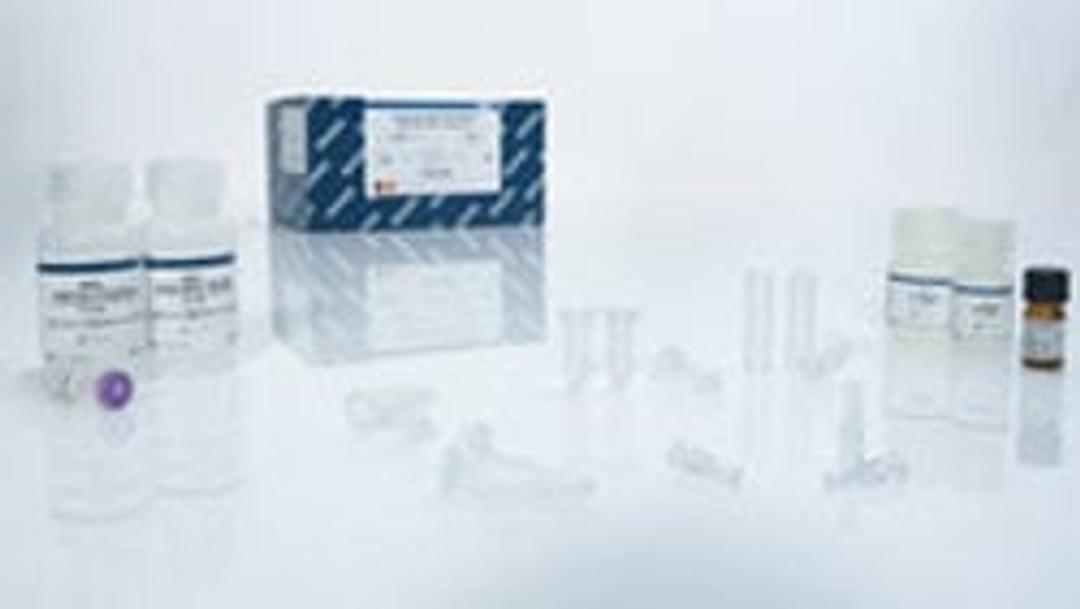 QIAamp DSP DNA Blood Mini Kit - QIAGEN