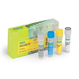 iScript™ gDNA Clear cDNA Synthesis Kit, 100 x 20 µl reactions - Bio-Rad - Life Sciences