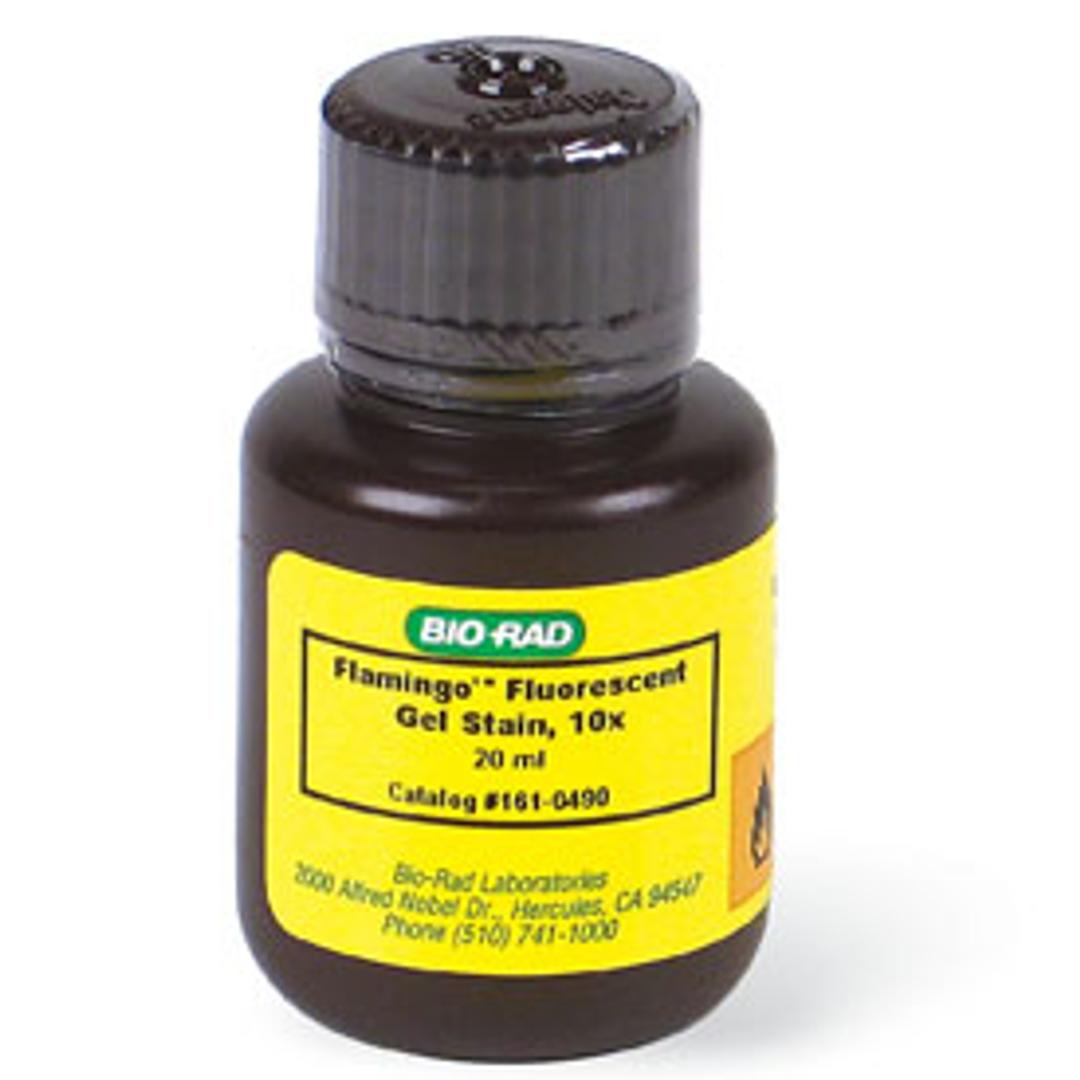 Flamingo™ Fluorescent Protein Gel Stain, 20 ml - Bio-Rad - Life Sciences